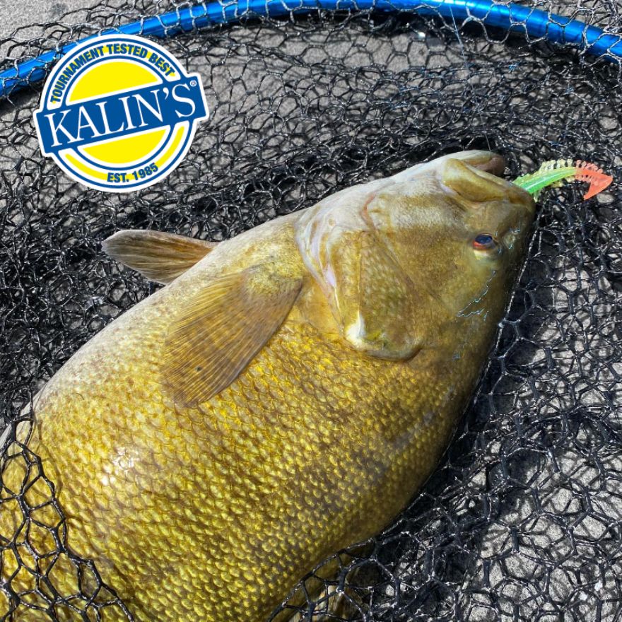 Kalin's Lures: A Diverse Arsenal for Every Bass Fishing Scenario