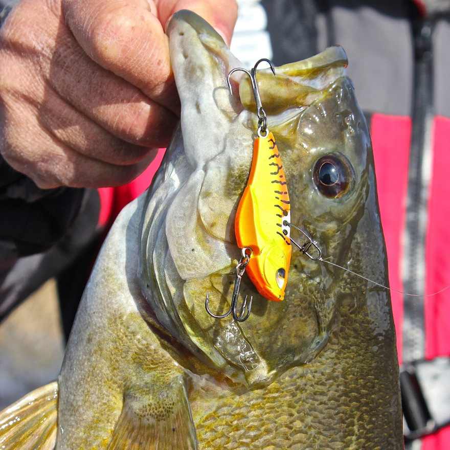 The Best Bass Fishing Lure Kits: Everything You Need to Know
