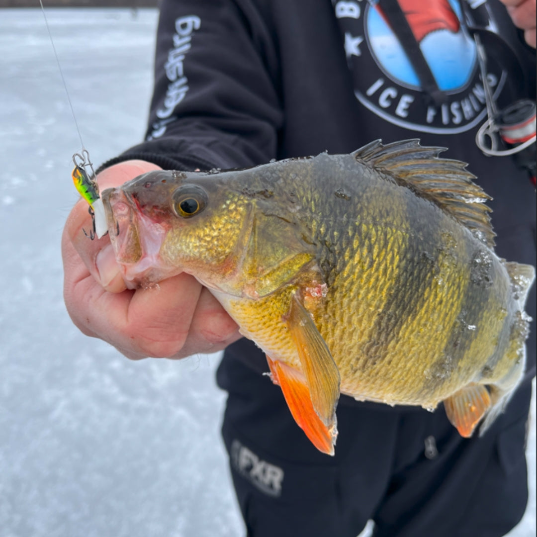 3 Go-To Baits for Ice Fishing Panfish 