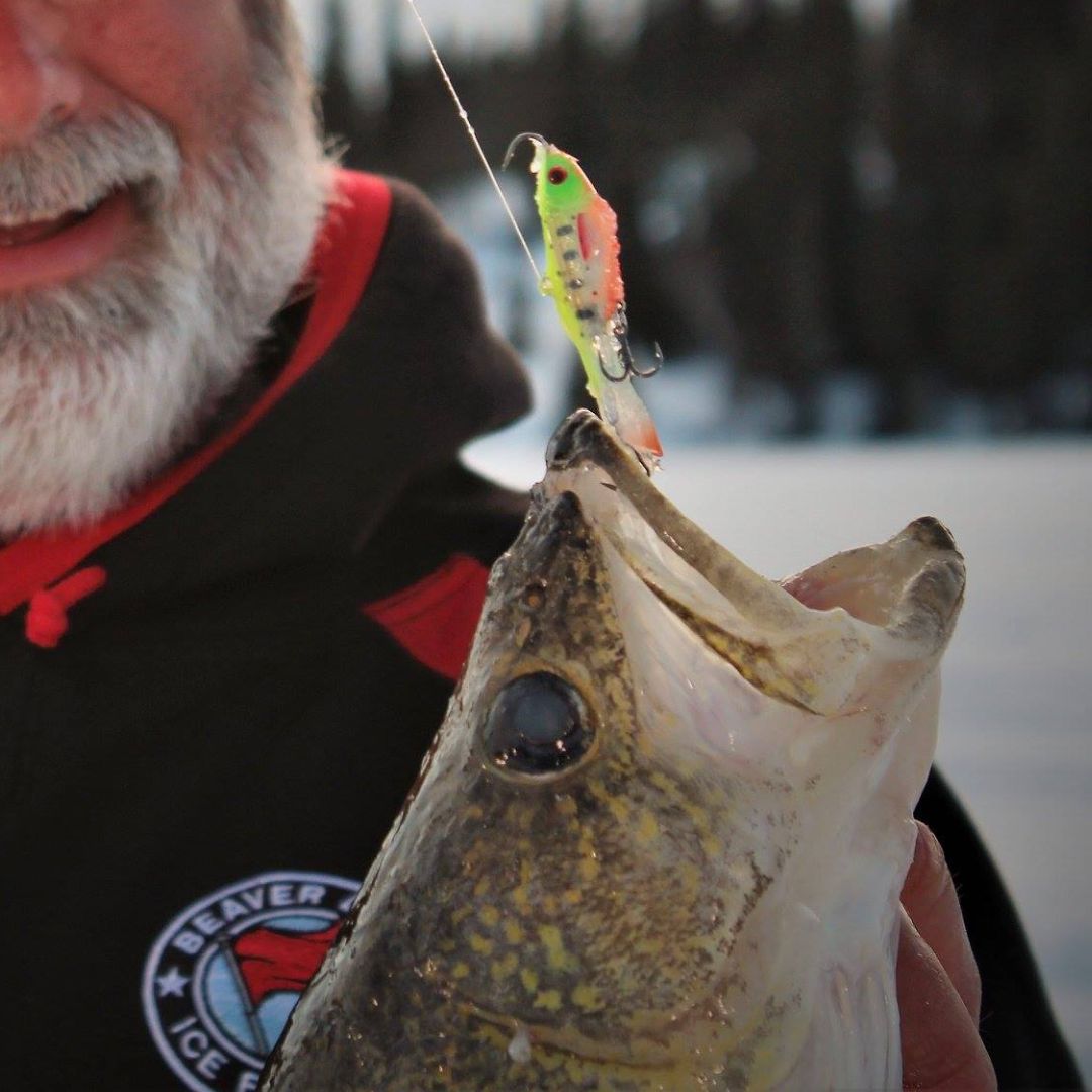 Buy QualyQualy Ice Fishing Jigs Ice Fishing Lures Walleye Fishing