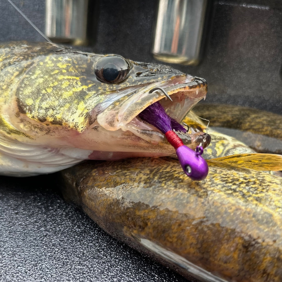 The Best November and December River Walleye Acme Tackle Baits