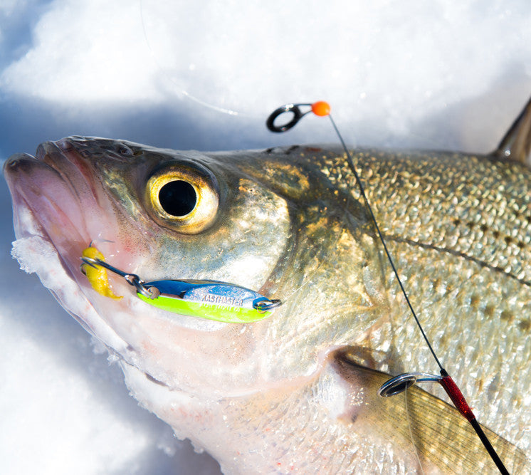 5 Best Walleye Spoons for Ice Fishing 